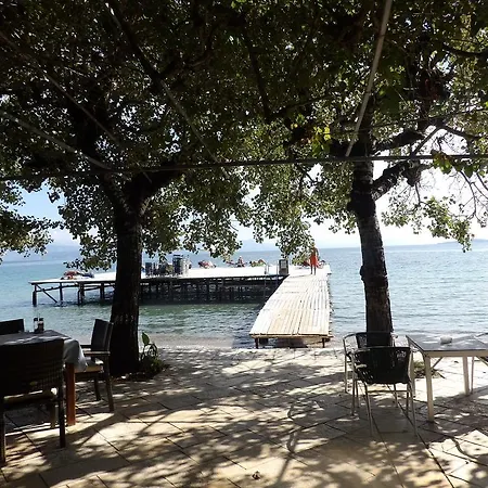 Hotel Dassia Beach Hotel